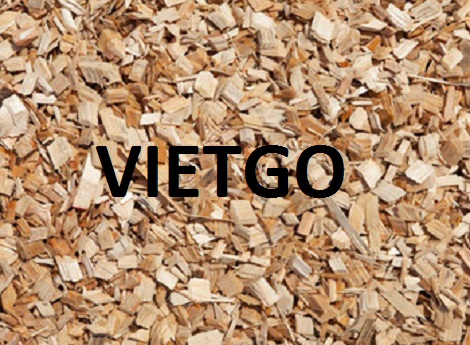 gỗ vụn bạch đàn Vietgo